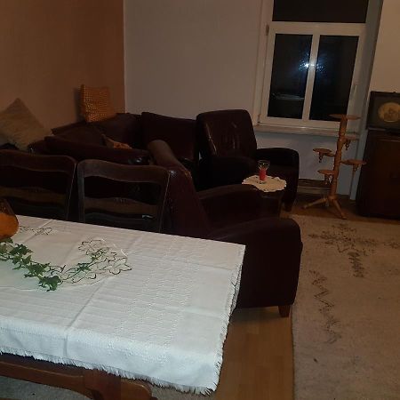 Ferienwohnung Wettin Am Petersbrunnen エクステリア 写真
