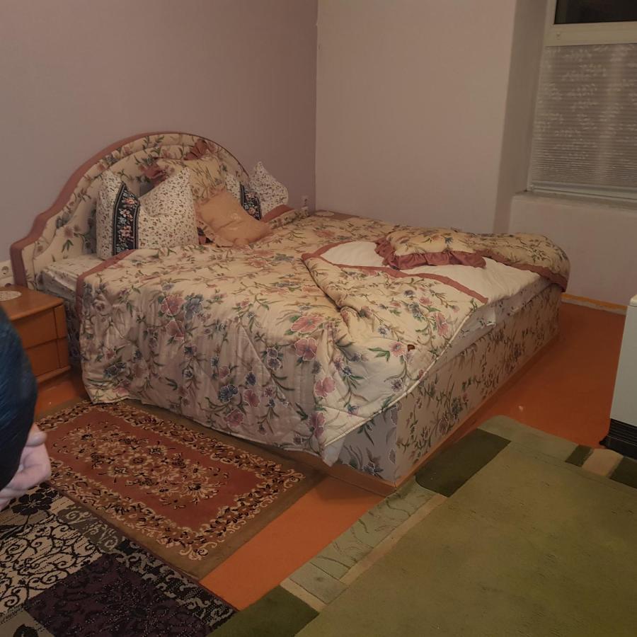 Ferienwohnung Wettin Am Petersbrunnen エクステリア 写真